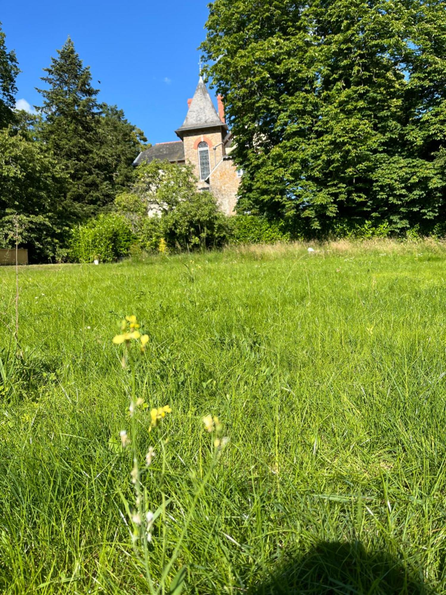 Villa Meguinelle Grand-Fougeray Zewnętrze zdjęcie